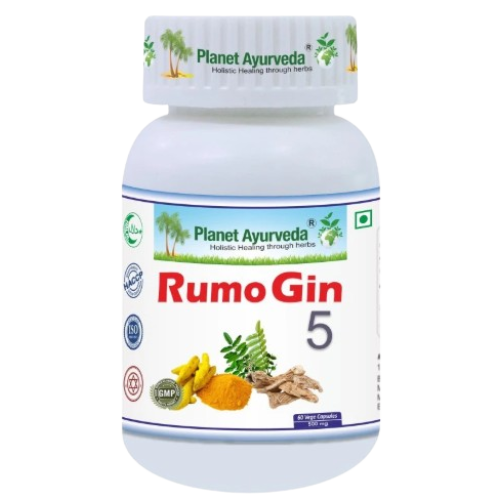 Rumo Gin 5 Kapsule 60ks Planet Ayurveda